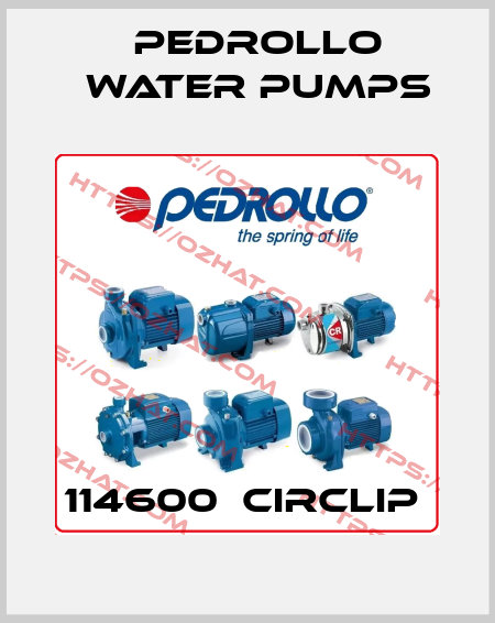 114600  CIRCLIP  Pedrollo Water Pumps