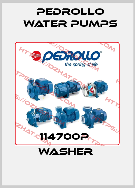 114700P   WASHER  Pedrollo Water Pumps