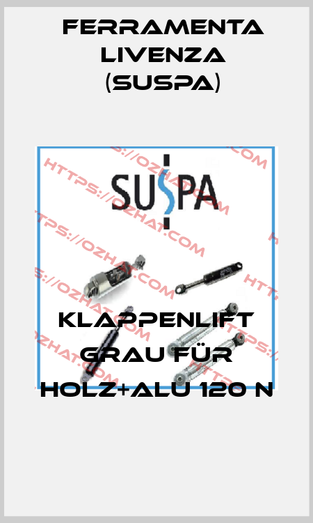 Klappenlift grau für Holz+Alu 120 N Ferramenta Livenza (Suspa)