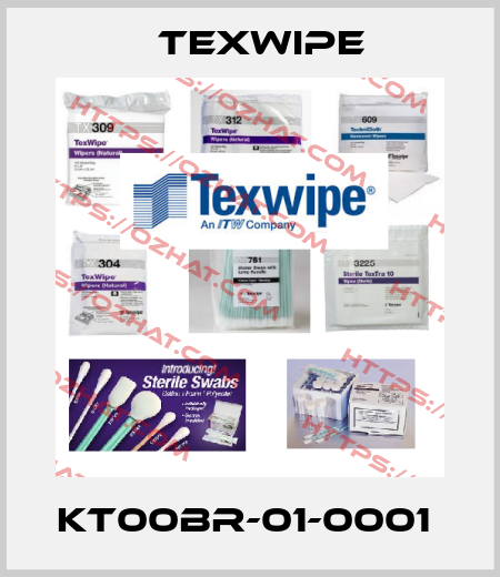 KT00BR-01-0001  Texwipe