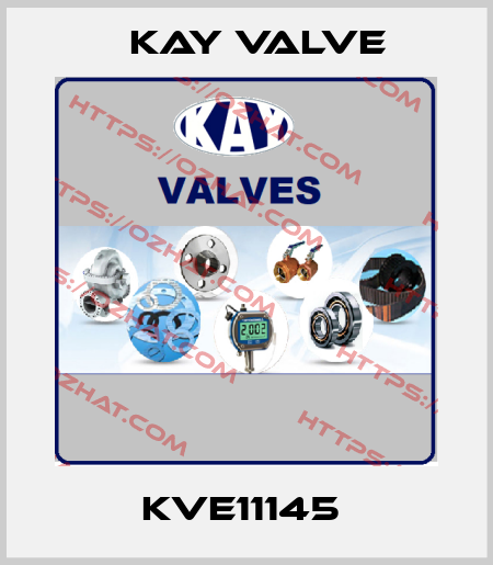 KVE11145  Kay Valve