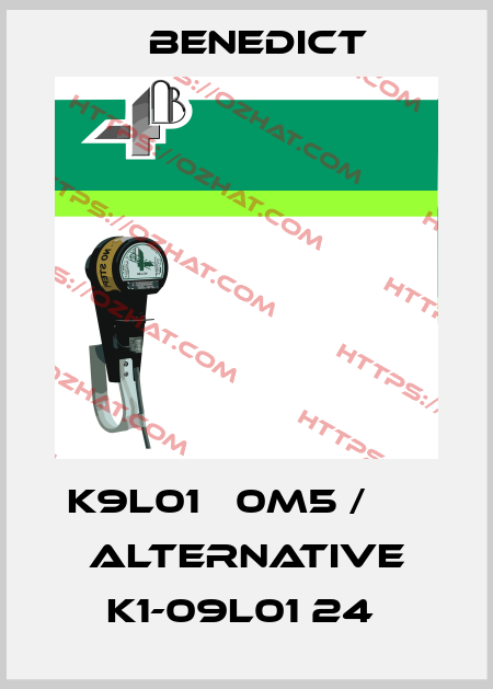 K9L01   0M5 /      Alternative K1-09L01 24  Benedict