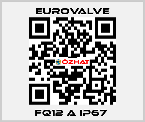FQ12 A IP67  Eurovalve