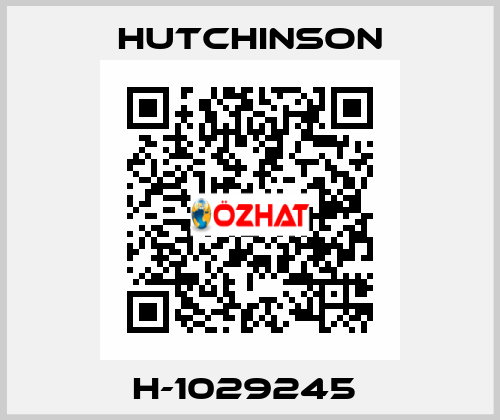 H-1029245  Hutchinson