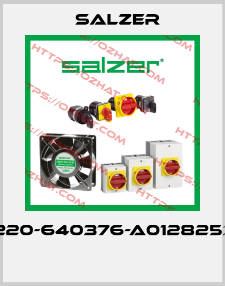 P220-640376-A01282537  Salzer