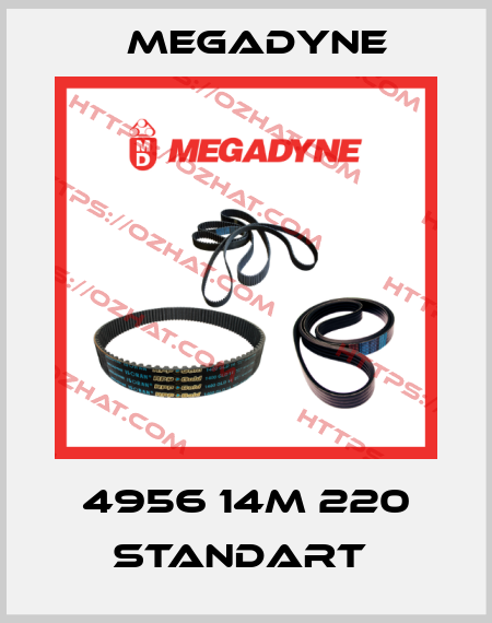 4956 14M 220 standart  Megadyne