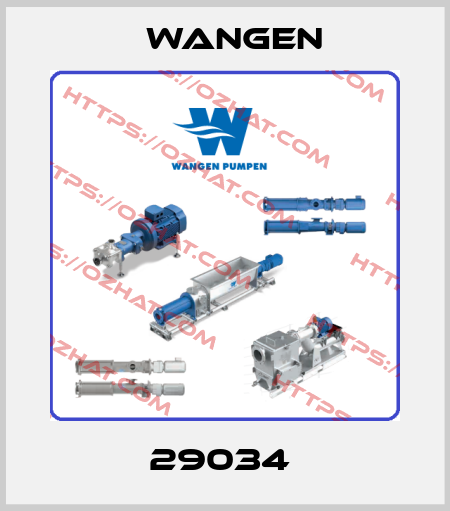 29034  Wangen