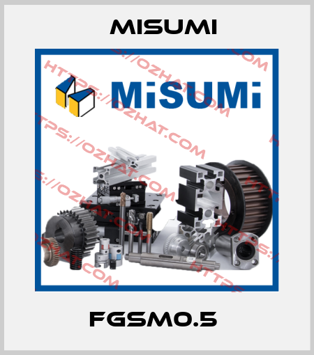 FGSM0.5  Misumi