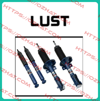 LSH-074-2-60-560/T1,P,S4,X OEM  Lust