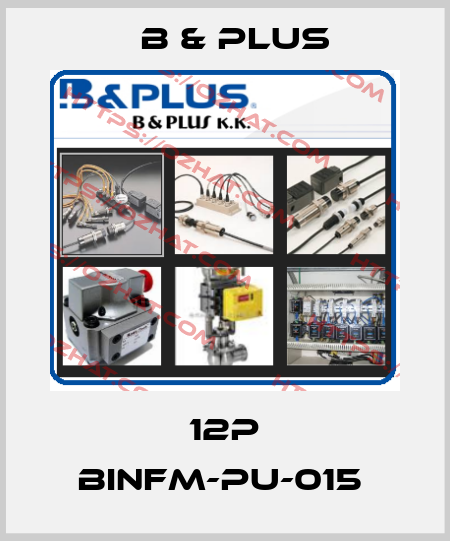12P BINFM-PU-015  B & PLUS