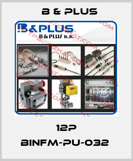 12P BINFM-PU-032  B & PLUS