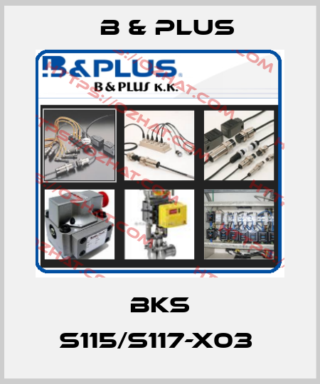 BKS S115/S117-X03  B & PLUS