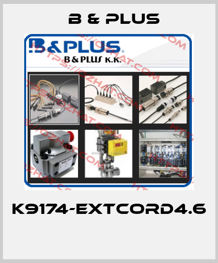 K9174-EXTCORD4.6  B & PLUS