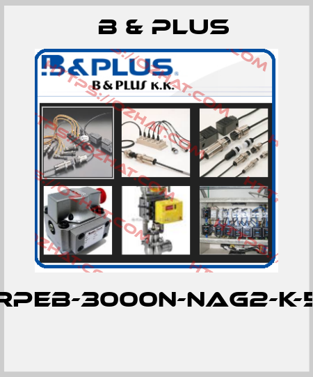 RPEB-3000N-NAG2-K-5  B & PLUS
