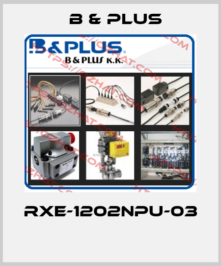 RXE-1202NPU-03  B & PLUS