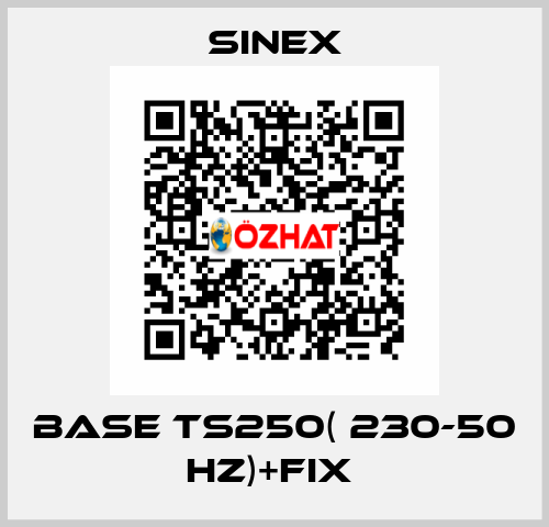 BASE TS250( 230-50 HZ)+FIX  Sinex