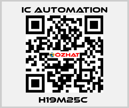 H19M25C  ic automation