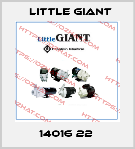 14016 22  Little Giant