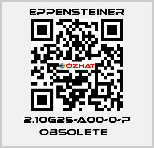 2.10G25-A00-0-P obsolete   Eppensteiner