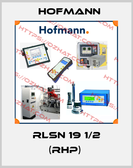 RLSN 19 1/2 (RHP)  Hofmann