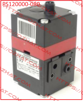 PS120000-080-000 (pack x10) Hoerbiger