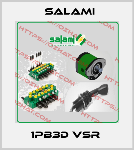 1PB3D VSR  Salami