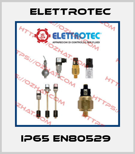 IP65 EN80529  Elettrotec