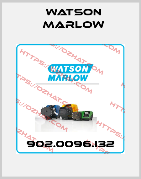 902.0096.I32 Watson Marlow