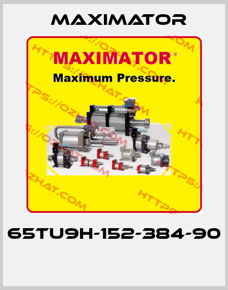 65TU9H-152-384-90  Maximator