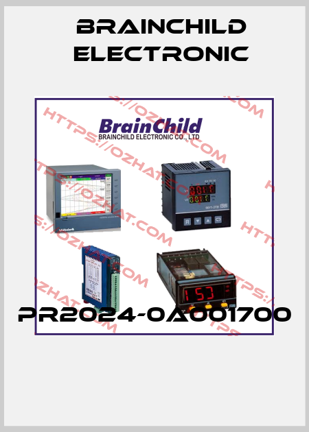 PR2024-0A001700  Brainchild Electronic