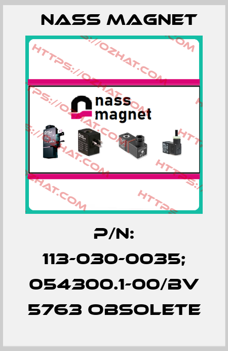 p/n: 113-030-0035; 054300.1-00/BV 5763 obsolete Nass Magnet