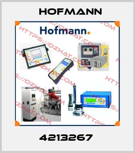 4213267  Hofmann