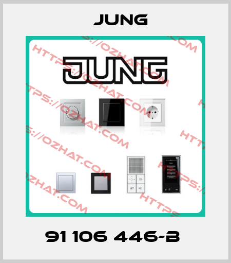 91 106 446-B  Jung
