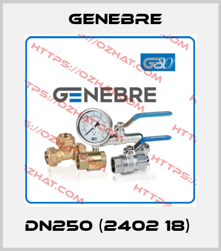 DN250 (2402 18)  Genebre
