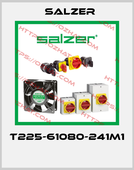 T225-61080-241M1  Salzer