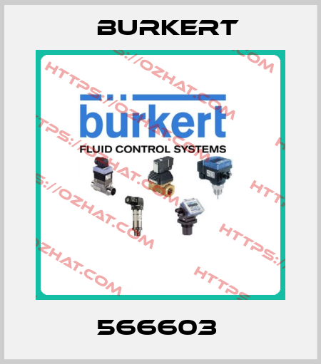 566603  Burkert