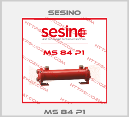 MS 84 P1 Sesino