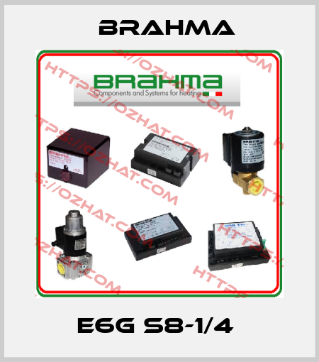 E6G S8-1/4  Brahma