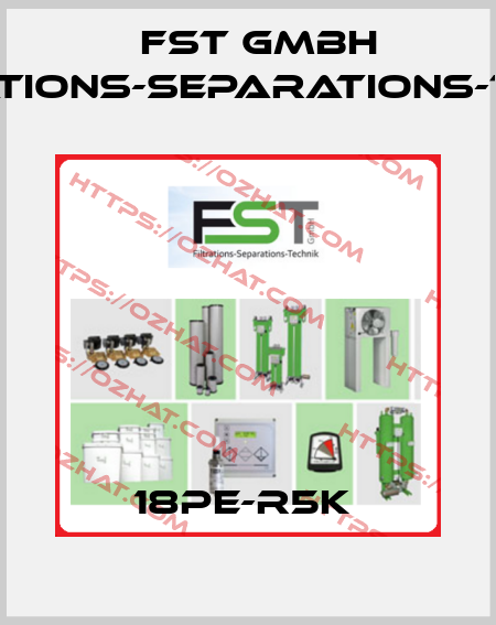 18PE-R5K  FST GmbH Filtrations-Separations-Technik