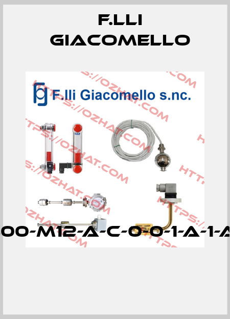 LVC/S-3-800-M12-A-C-0-0-1-A-1-A-1-0-0-0-0  F.lli Giacomello