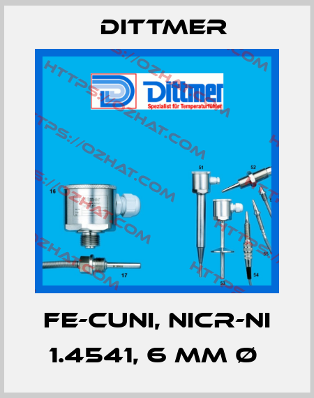 Fe-CuNi, NiCr-Ni 1.4541, 6 mm Ø  Dittmer