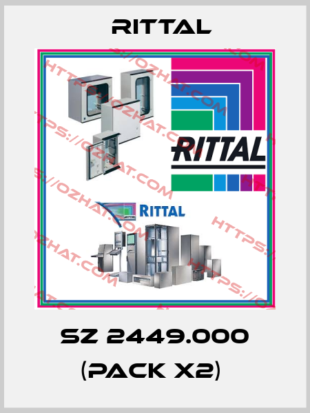 SZ 2449.000 (pack x2)  Rittal