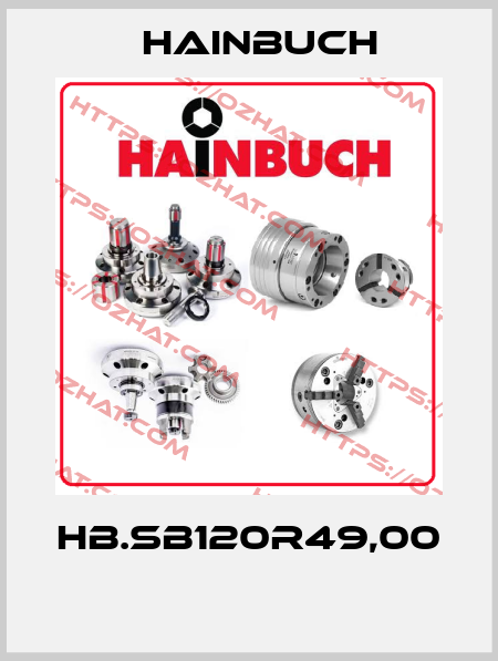 HB.SB120R49,00  Hainbuch