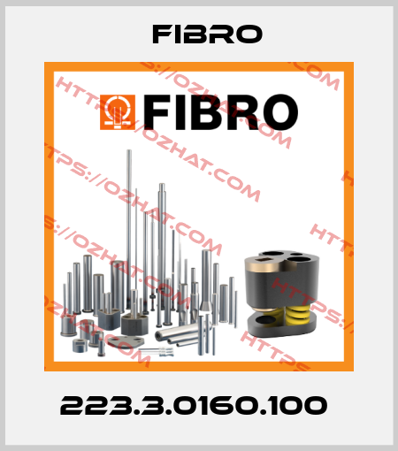 223.3.0160.100  Fibro