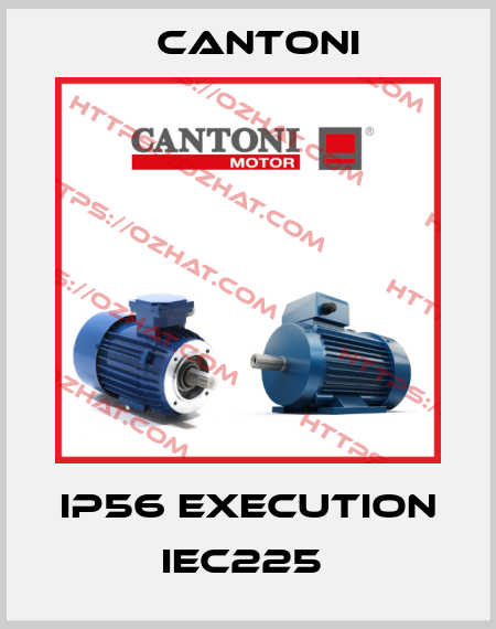 IP56 Execution IEC225  Cantoni