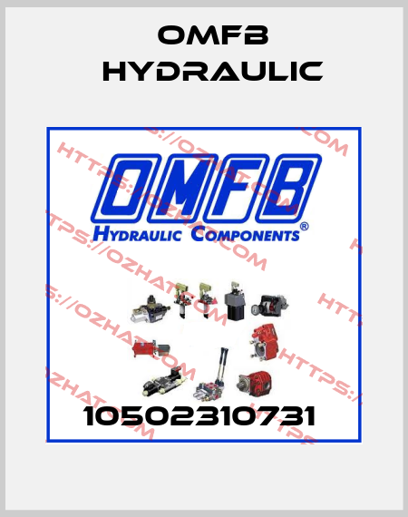 10502310731  OMFB Hydraulic