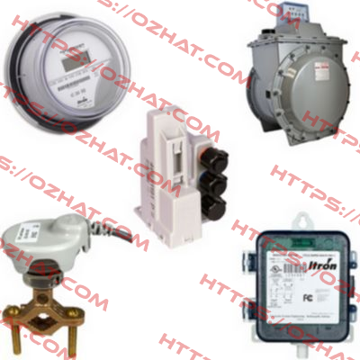 WOLTEX-M 1000-300-500-PN16  Itron