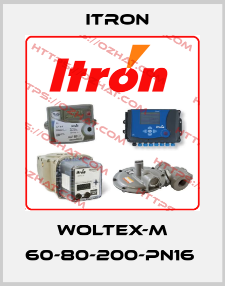 WOLTEX-M 60-80-200-PN16  Itron