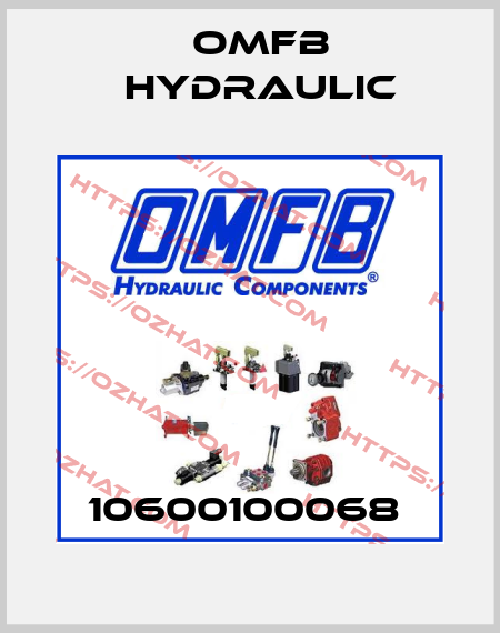 10600100068  OMFB Hydraulic