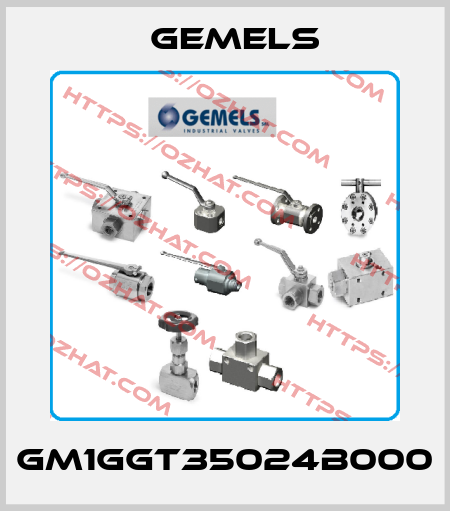 GM1GGT35024B000 Gemels